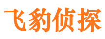 衡水侦探公司